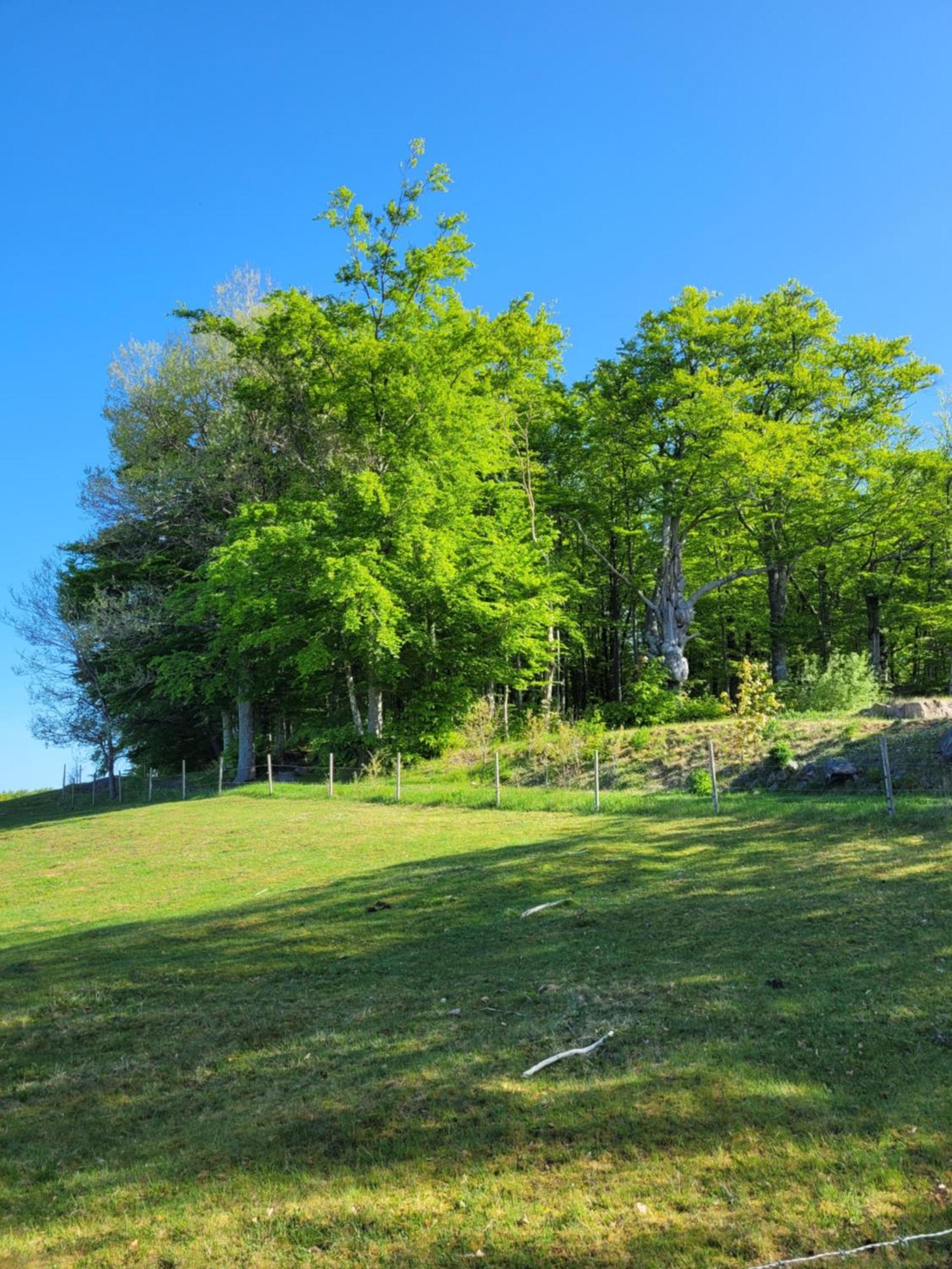 Bokskogens Guesthouse Kulltorp  Dış mekan fotoğraf